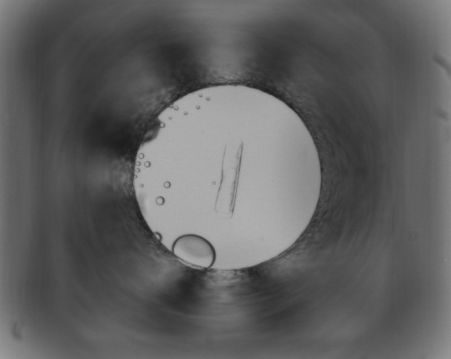 X0000094080672200710190919