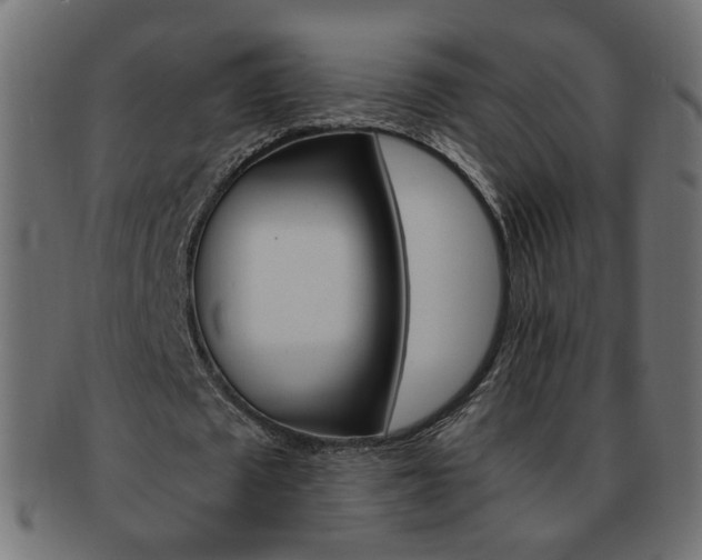 X0000094080673200710190918