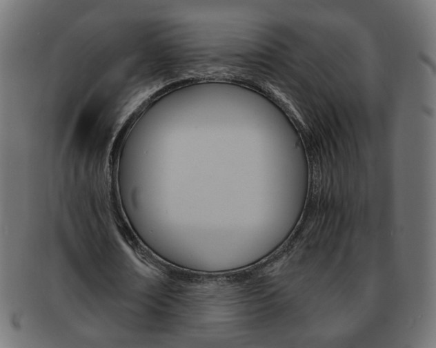 X0000094080674200710190918