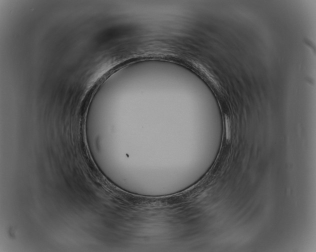 X0000094080675200710190918