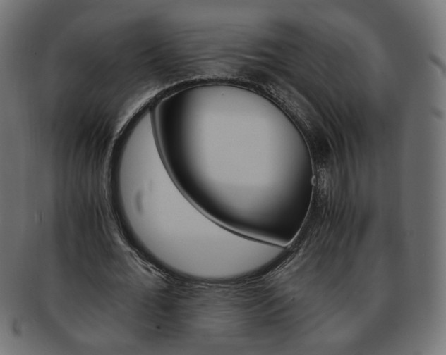 X0000094080676200710190918