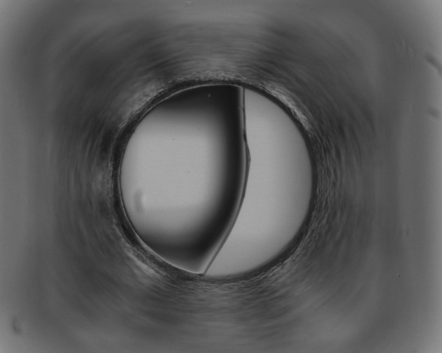 X0000094080677200710190918