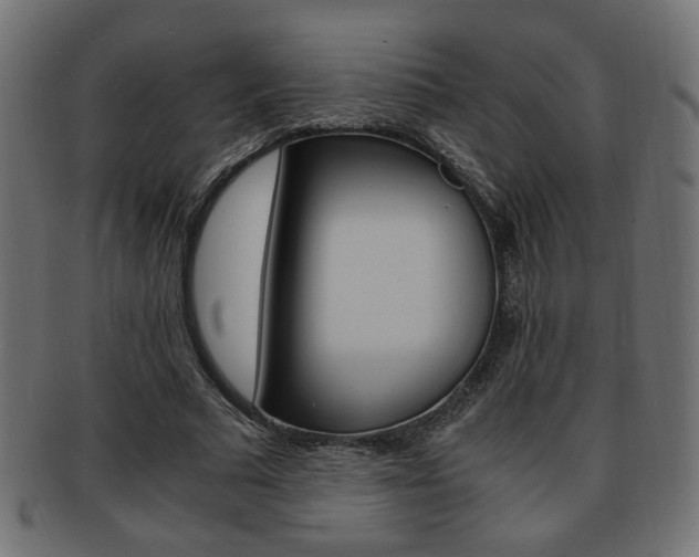 X0000094080681200710190918