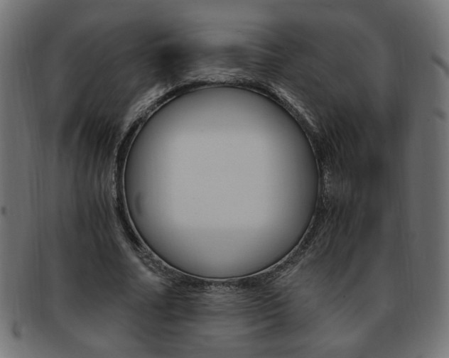 X0000094080682200710190918