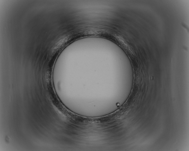 X0000094080683200710190918