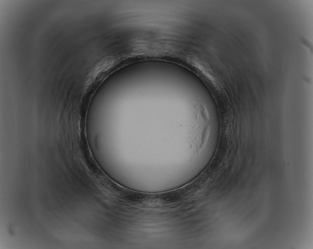 X0000094080685200710190918
