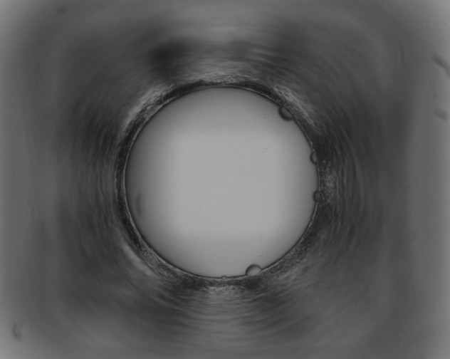 X0000094080686200710190918