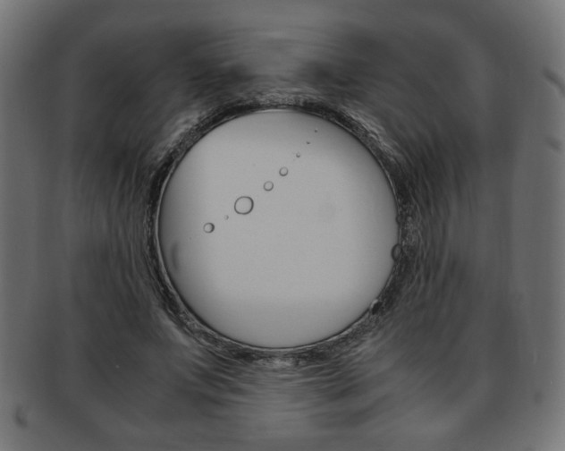 X0000094080687200710190918