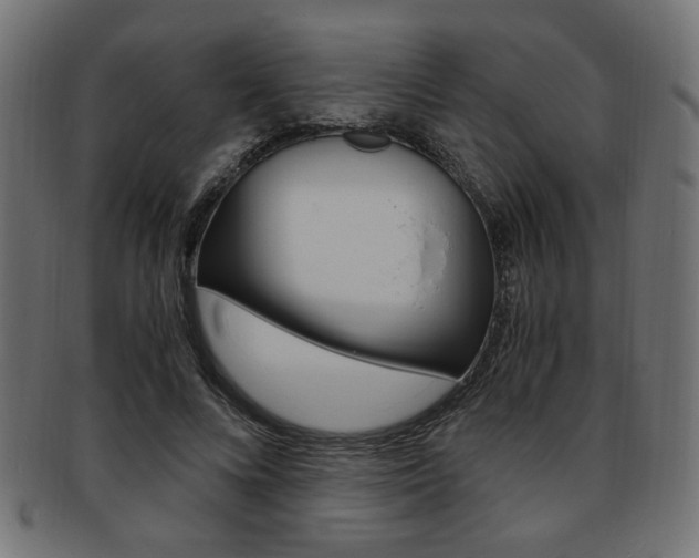 X0000094080688200710190918