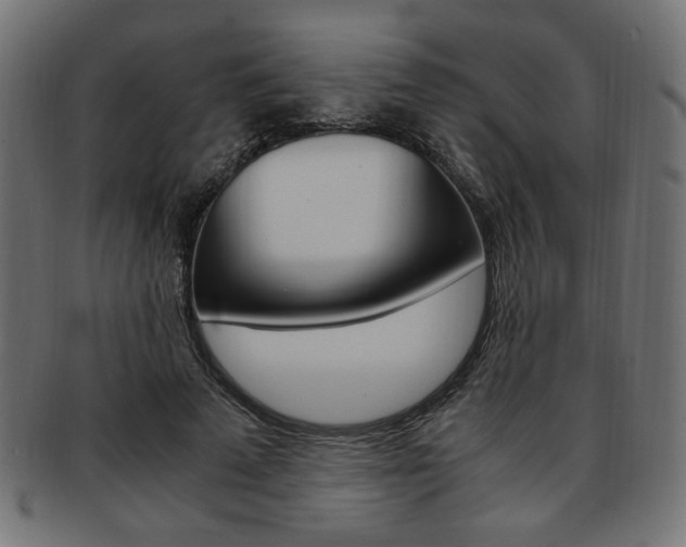 X0000094080689200710190918