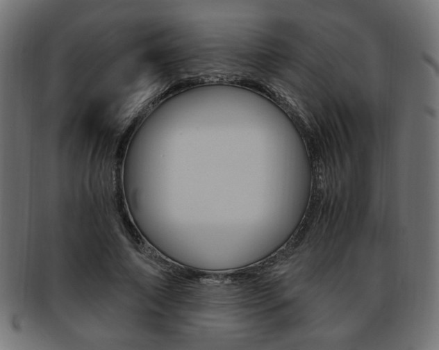 X0000094080690200710190918