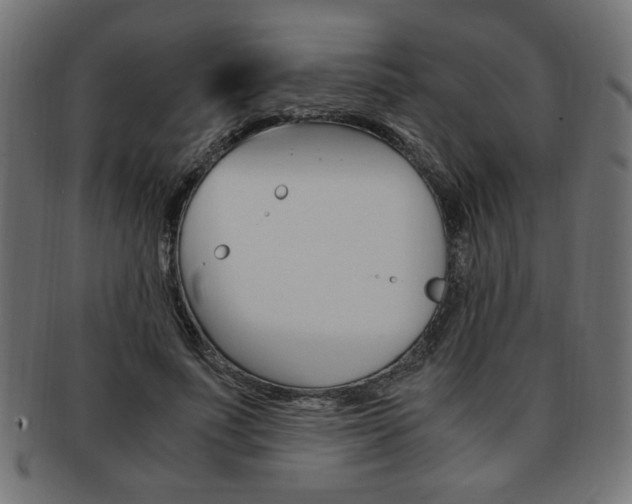X0000094080691200710190918