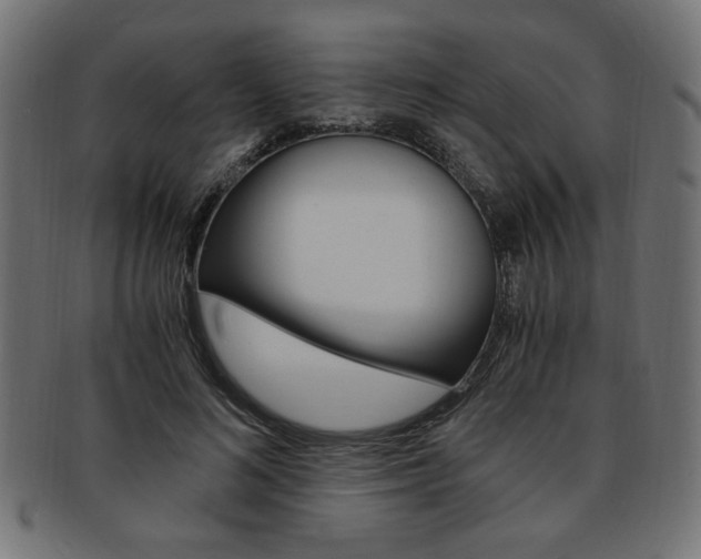 X0000094080692200710190918