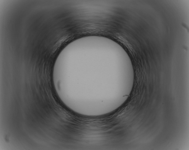 X0000094080693200710190918