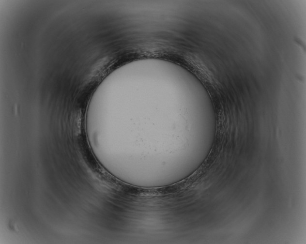 X0000094080694200710190918
