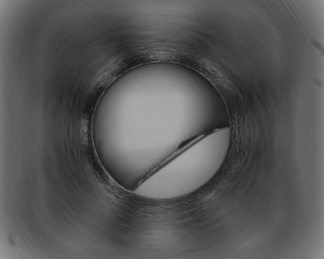 X0000094080696200710190918