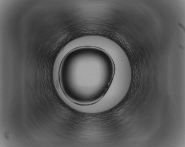 X0000094080697200710190918