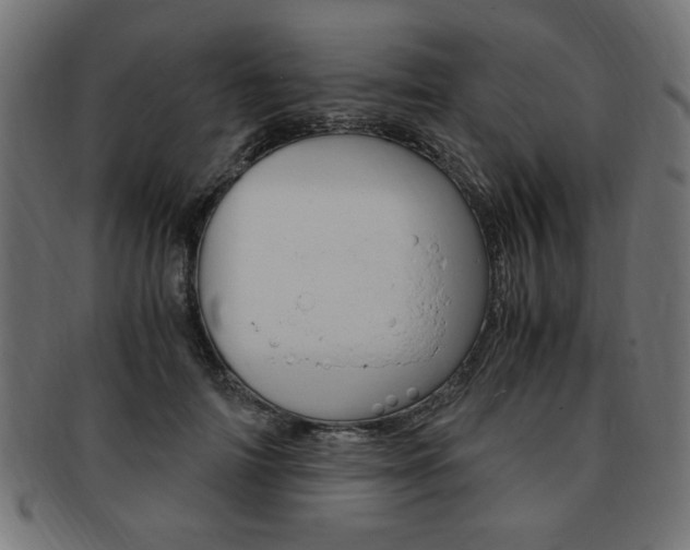 X0000094080698200710190918