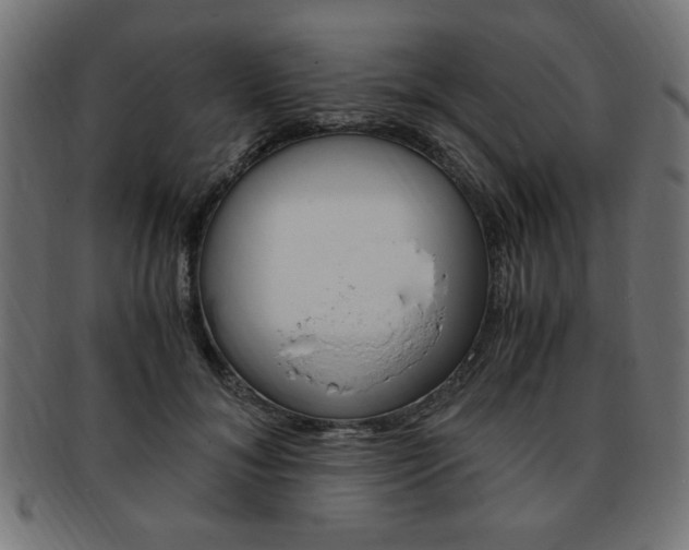 X0000094080700200710190918
