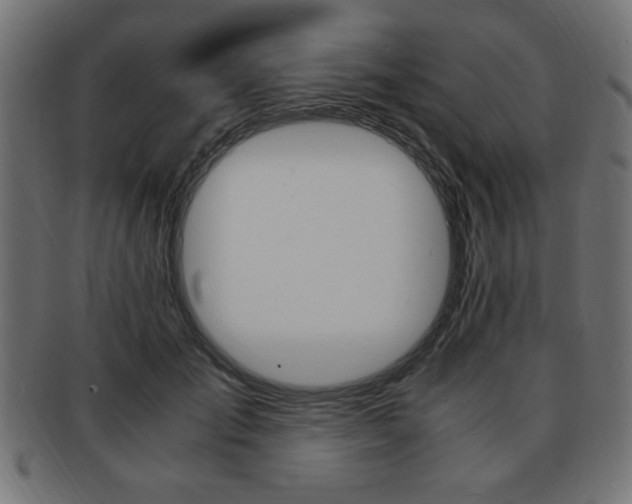 X0000094080701200710190918