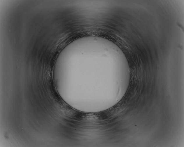 X0000094080702200710190918