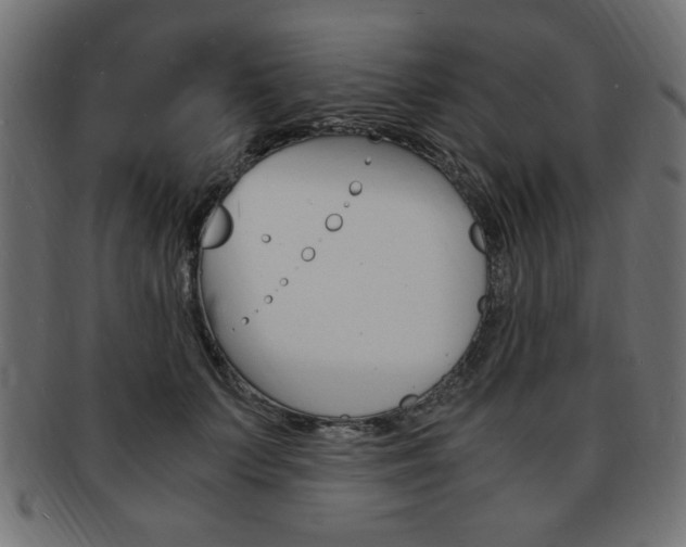 X0000094080703200710190918