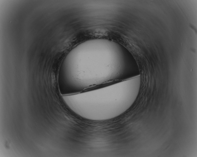 X0000094080704200710190918