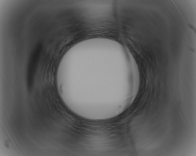 X0000094080705200710190918