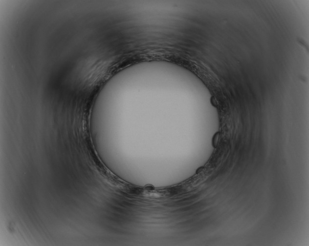 X0000094080706200710190918