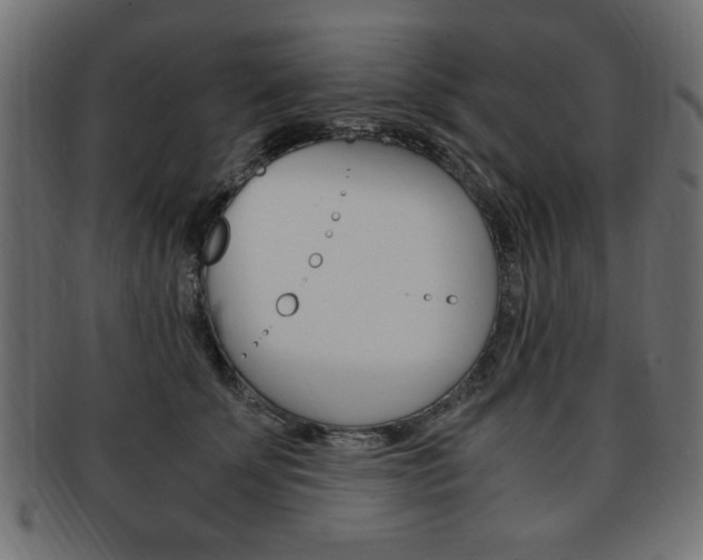 X0000094080707200710190918