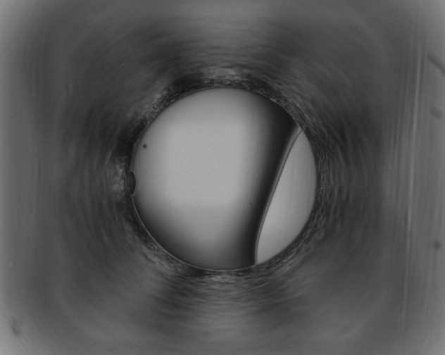 X0000094080708200710190918