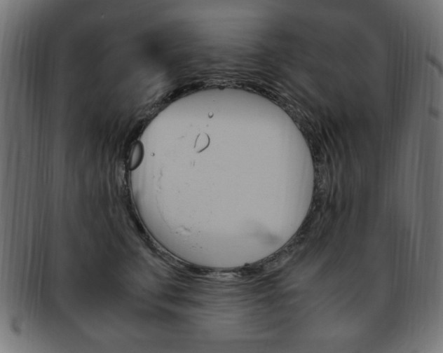 X0000094080711200710190918