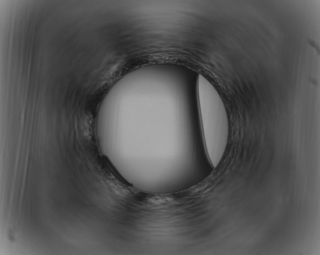 X0000094080712200710190918