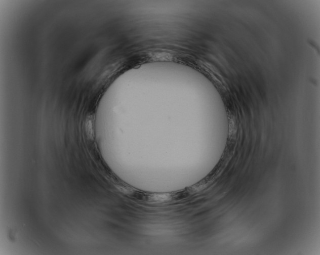 X0000094080717200710190918