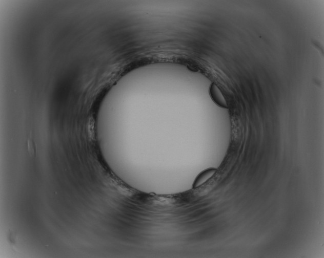 X0000094080718200710190918