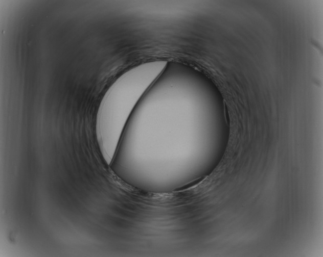 X0000094080720200710190918