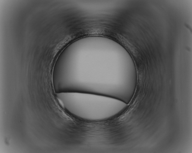 X0000094080721200710190917