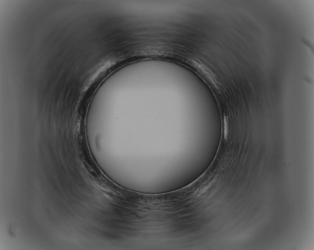 X0000094080723200710190917