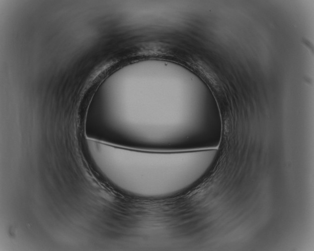 X0000094080724200710190917