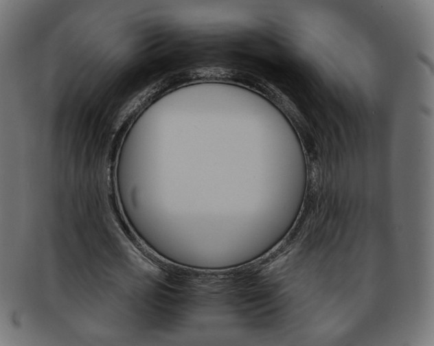 X0000094080725200710190917