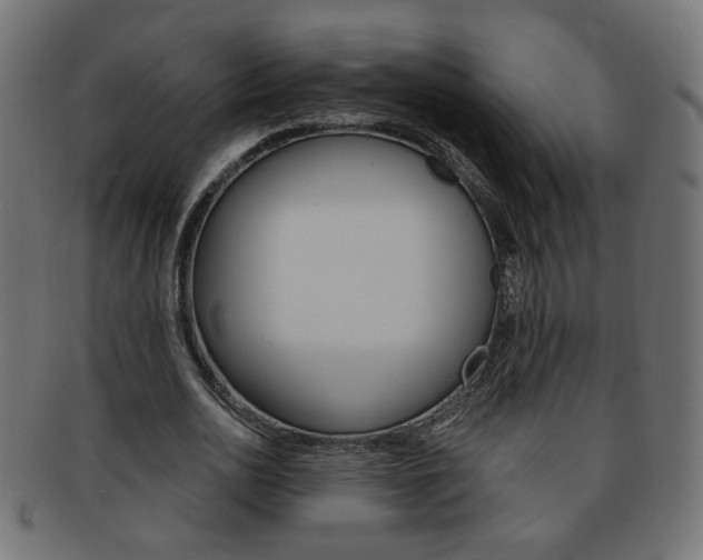 X0000094080726200710190917