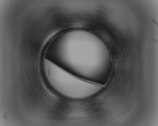 X0000094080728200710190917