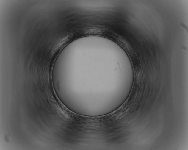 X0000094080729200710190917