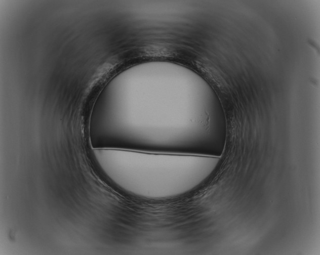 X0000094080731200710190917
