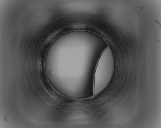 X0000094080732200710190917
