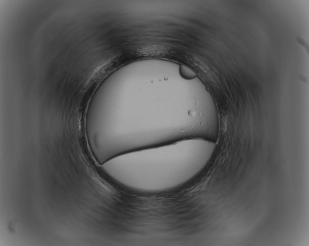 X0000094080733200710190917