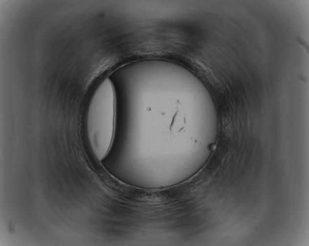 X0000094080735200710190917