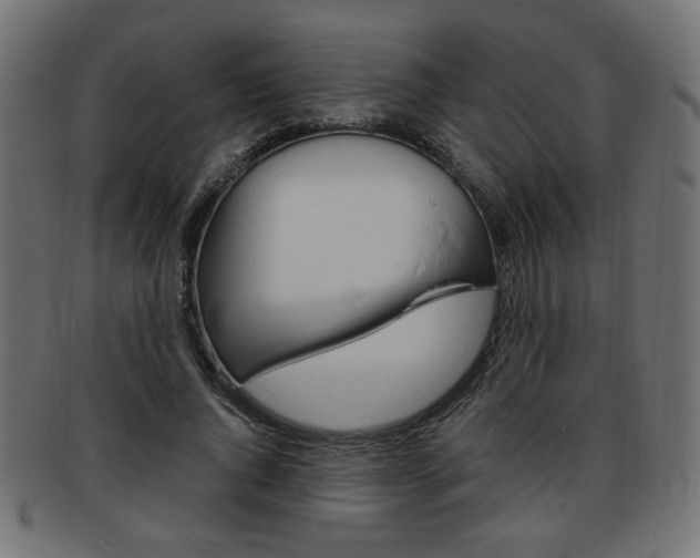 X0000094080736200710190917