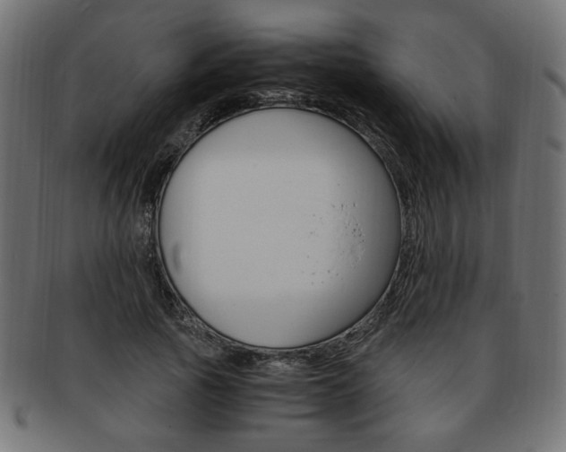 X0000094080737200710190917