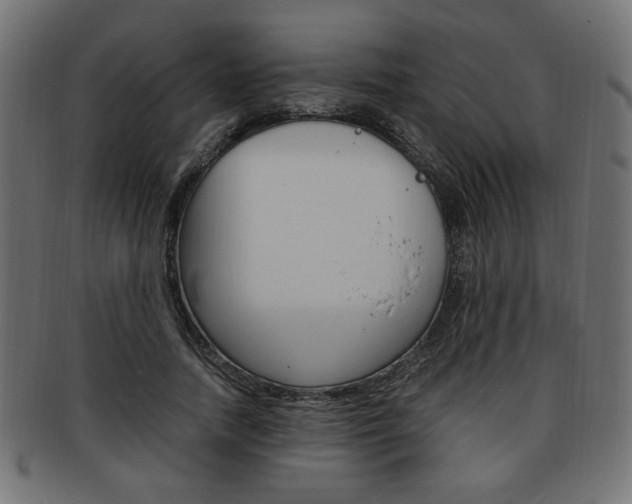 X0000094080738200710190917